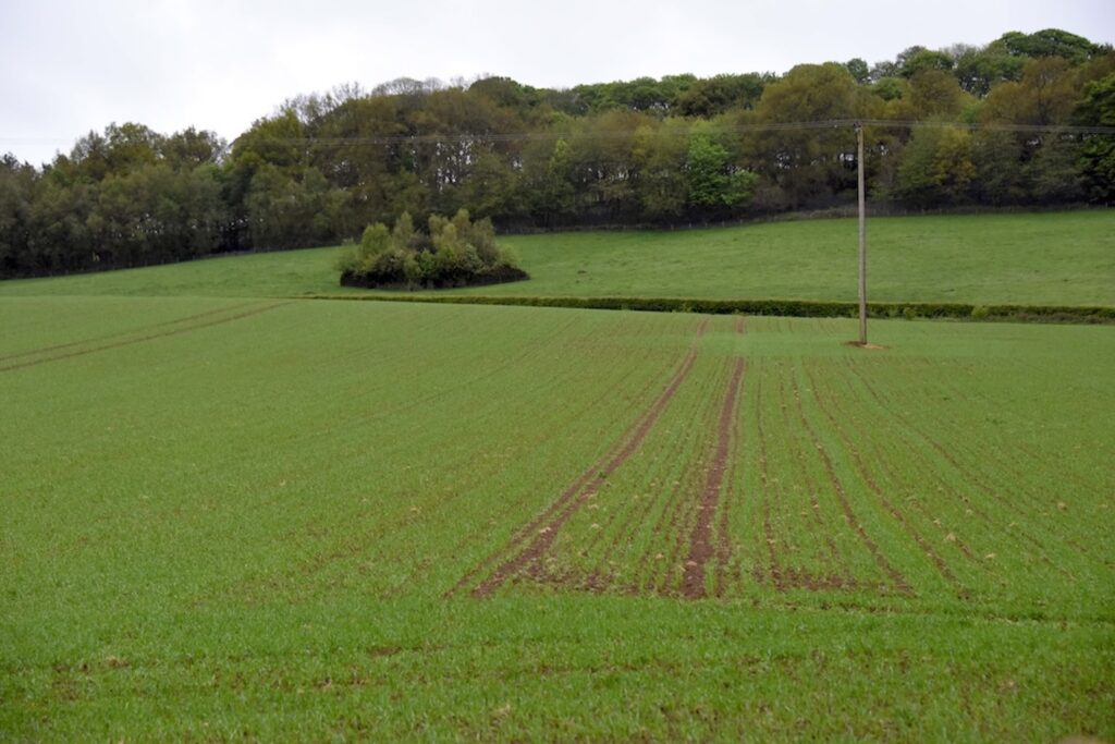 photo of a farmer's field