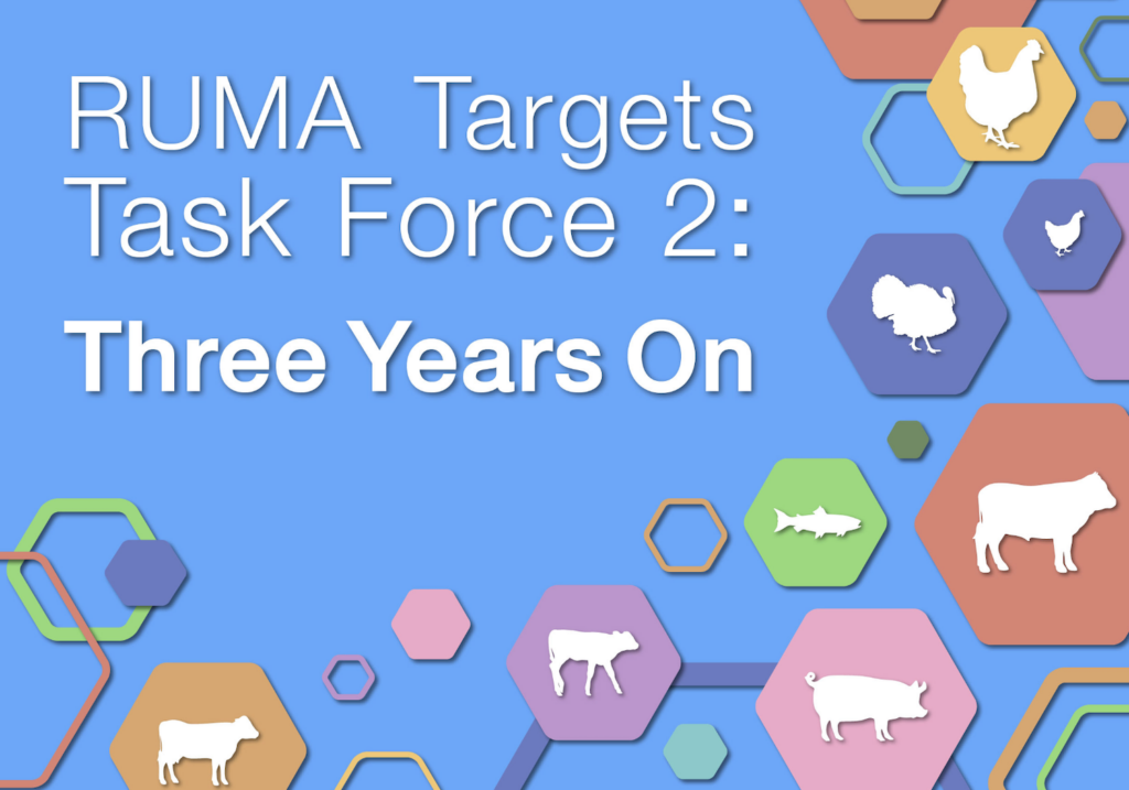 RUMA Targets Report Cover